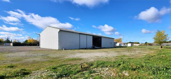 Vente / Local Industriel / Bâtiment