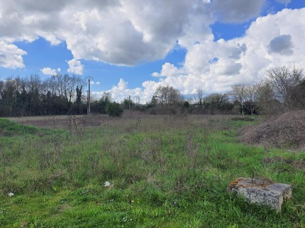Terrain à SAINT-JEAN-D'ANGELY, 17400 - 4772m²