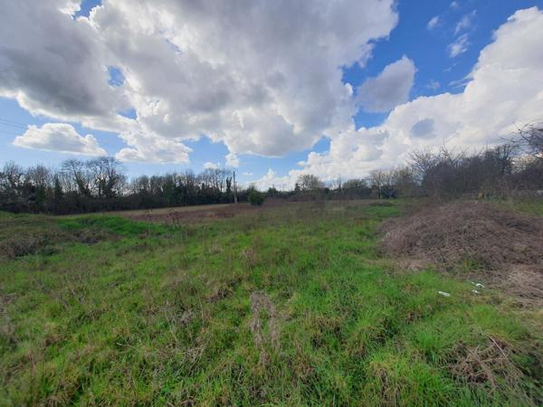 Terrain à SAINT-JEAN-D'ANGELY, 17400 - 4772m²
