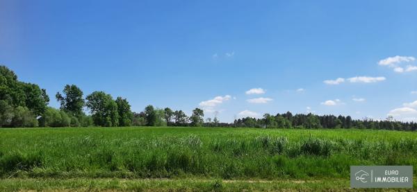 Ferme bazadaise en pierre, 120 m², dépendances sur 15 ha de terres et bois - GIRONDE (33) - NOUVELLE AQUITAINE