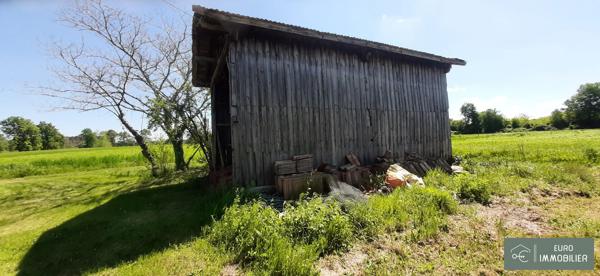 Ferme bazadaise en pierre, 120 m², dépendances sur 15 ha de terres et bois - GIRONDE (33) - NOUVELLE AQUITAINE