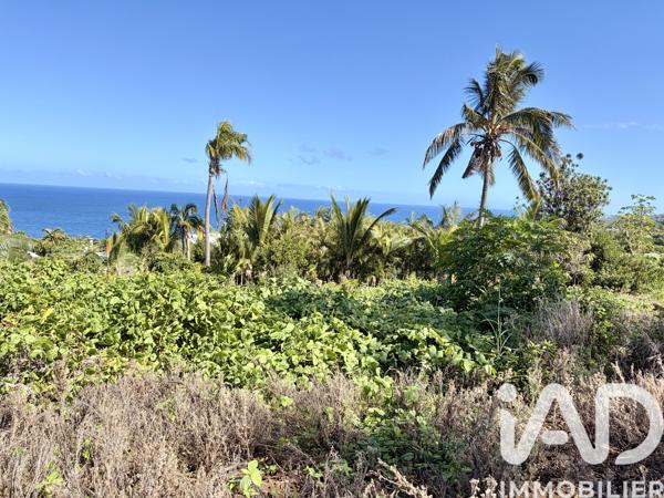 Terrain à vendre 521 m² Petite-Île