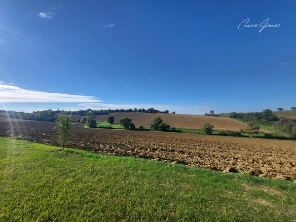 5 MINUTES DE CADOURS – Ferme en brique rénovée de 245 m² avec dépendance et terrain arboré