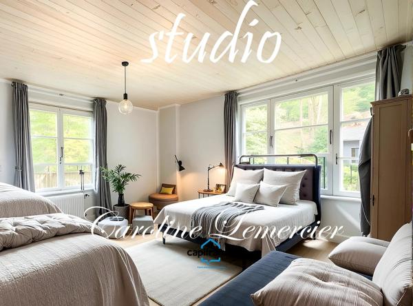 Maison à vendre 7 pièces proche LE MANS de 183 m² habitables et studio 2 chambres, sur 9 hectares de terre