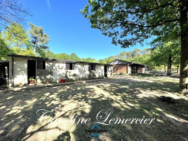 Maison à vendre 7 pièces proche LE MANS de 183 m² habitables et studio 2 chambres, sur 9 hectares de terre