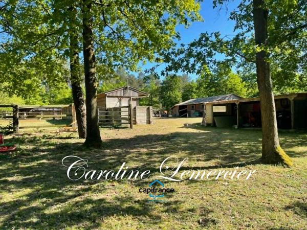Maison à vendre 7 pièces proche LE MANS de 183 m² habitables et studio 2 chambres, sur 9 hectares de terre