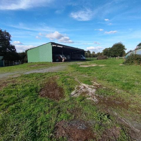 Longère Mortagne sur Sèvre 3 chambres + logement locatif 2 chambres 130 m2