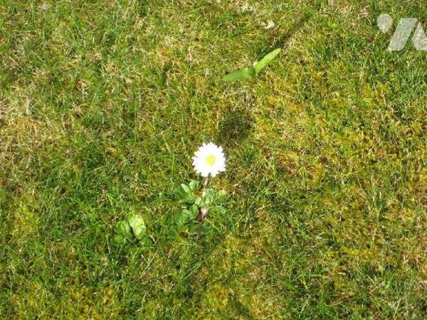 PLOUHA, Bord de Mer
TERRAIN A BATIR PROCHE MER, Surface cadastrale : 1 150m²
P.L.U. : UC
Ori...