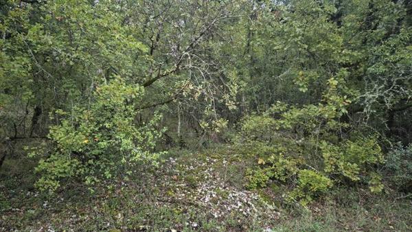 Terrain 29 500 € Pinsac 853 m² DPE