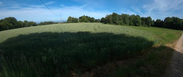 🌿A vendre - Roybon (38940) – 3 parcelles de terrain agricole avec potentiel de loisirs et d'activités nature