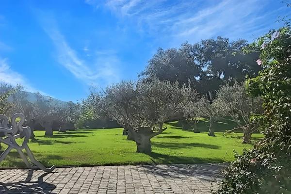 Hyères (83400) MAISON CONTEMPORAINE D'ARCHITECTE - CALME, CONFORT ET DESIGN - PARCELLE DETACHABLE DE 1500 m²