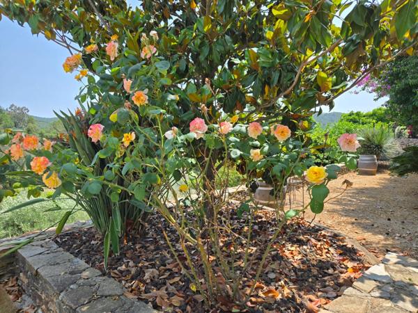 Hyères (83400) MAISON CONTEMPORAINE D'ARCHITECTE - CALME, CONFORT ET DESIGN - PARCELLE DETACHABLE DE 1500 m²