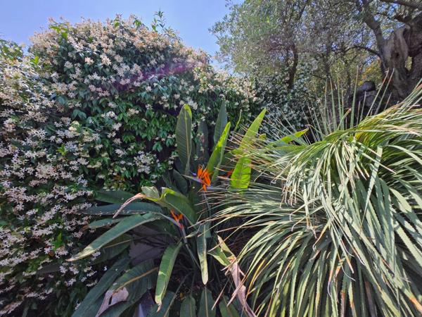 Hyères (83400) MAISON CONTEMPORAINE D'ARCHITECTE - CALME, CONFORT ET DESIGN - PARCELLE DETACHABLE DE 1500 m²