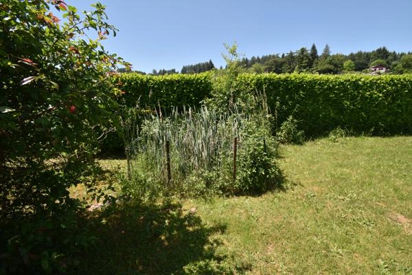 CHAUFFAILLES (71) - maison 5 piéces - 105 m2 - terrain 2300 m²