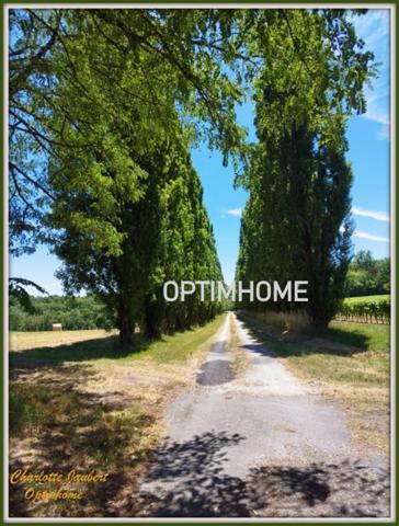 Propriété de 6 ha