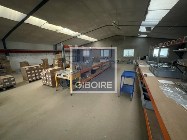 Local d'activites 1010 m² à vendre THOUAR-SUR-LOIRE (réf : 44.019064)