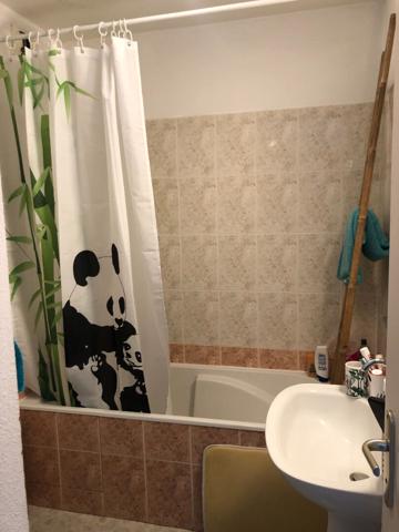 PAU Universités T1 bis non meublé à louer