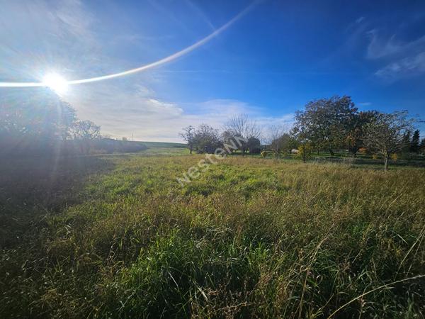 ENSEMBLE IMMOBILIER À VOCATION PROFESSIONNELLE 200 M² AVEC MAISON HABITABLE ? BARONVILLE