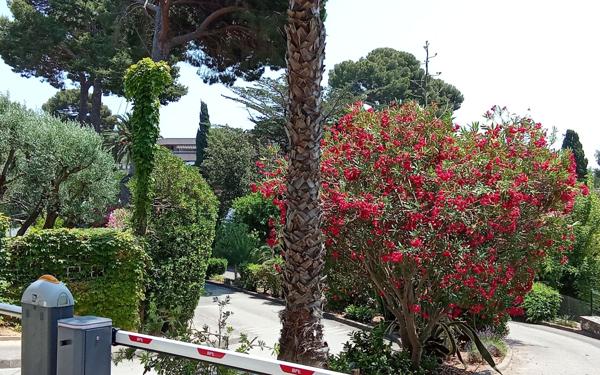Appartement à vendre    2 pièces • 37 m2 La Seyne-sur-Mer