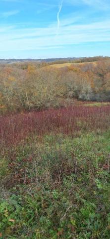 Terrain de loisirs - Bois - Etang à vendre à Peyrusse-Grande dans le Gers (32320), ref : 32002-243