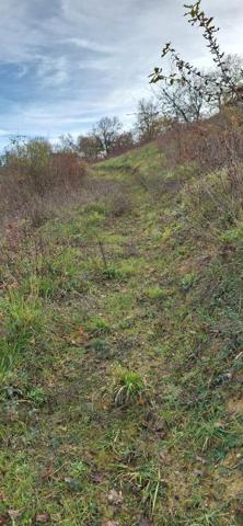 Terrain de loisirs - Bois - Etang à vendre à Peyrusse-Grande dans le Gers (32320), ref : 32002-243