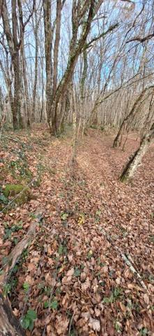 Terrain de loisirs - Bois - Etang à vendre à Peyrusse-Grande dans le Gers (32320), ref : 32002-243