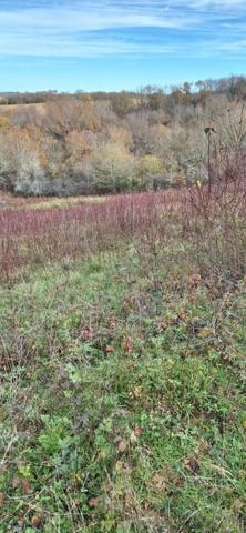 Terrain de loisirs - Bois - Etang à vendre à Peyrusse-Grande dans le Gers (32320), ref : 32002-243