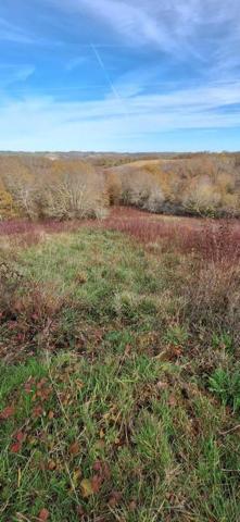 Terrain de loisirs - Bois - Etang à vendre à Peyrusse-Grande dans le Gers (32320), ref : 32002-243