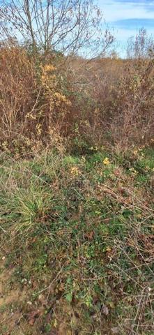 Terrain de loisirs - Bois - Etang à vendre à Peyrusse-Grande dans le Gers (32320), ref : 32002-243