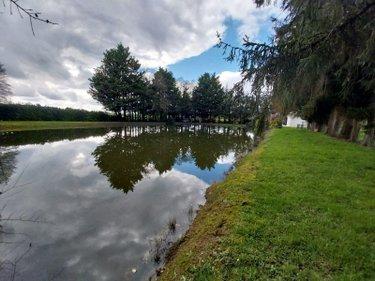 Terrain de loisirs - Bois - Etangs à vendre à Cuillé en Mayenne (53540), ref : 35131-222