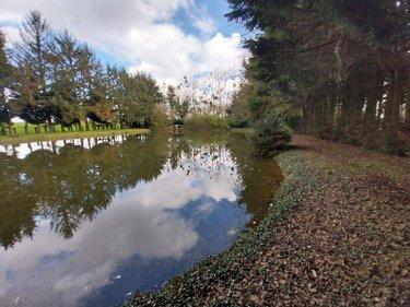 Terrain de loisirs - Bois - Etangs à vendre à Cuillé en Mayenne (53540), ref : 35131-222