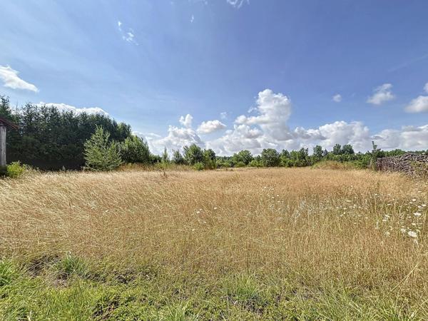 TERRAIN CONSTRUCTIBLE