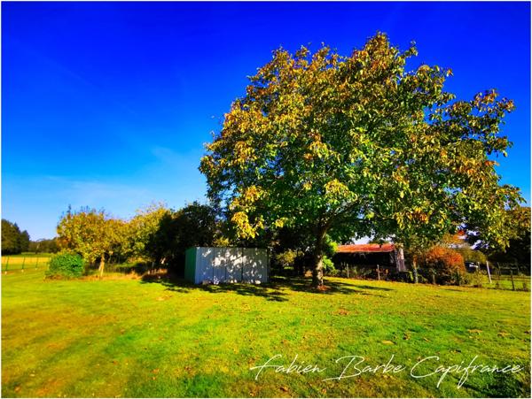 Maison à vendre 7 pièces TAUPONT (56)