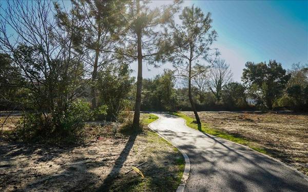 Terrain à vendre |  Bénesse-Maremne |  600 m²