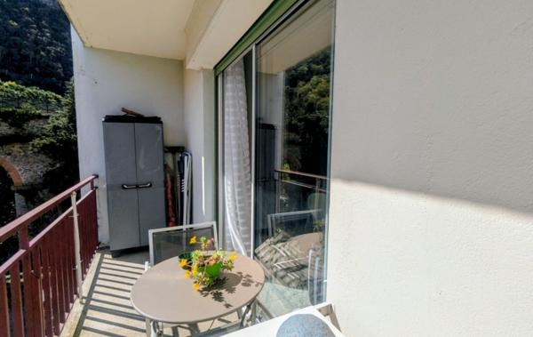 Vente Studio Terrasse et parking rénové(e) Amelie-les-bains-palalda   