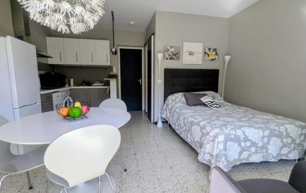 Vente Studio Terrasse et parking rénové(e) Amelie-les-bains-palalda   