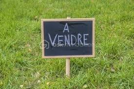 Lotissement de 303 m²