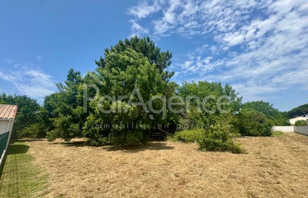 Terrain à bâtir Parcelle arborée et sans vis-à-vis