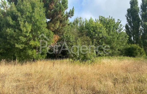 Terrain à bâtir Parcelle arborée et sans vis-à-vis