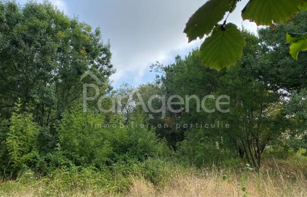 Terrain à bâtir Parcelle arborée et sans vis-à-vis