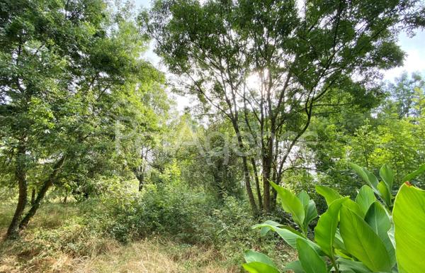 Terrain à bâtir Parcelle arborée et sans vis-à-vis