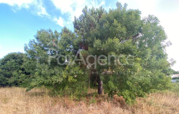 Terrain à bâtir Parcelle arborée et sans vis-à-vis