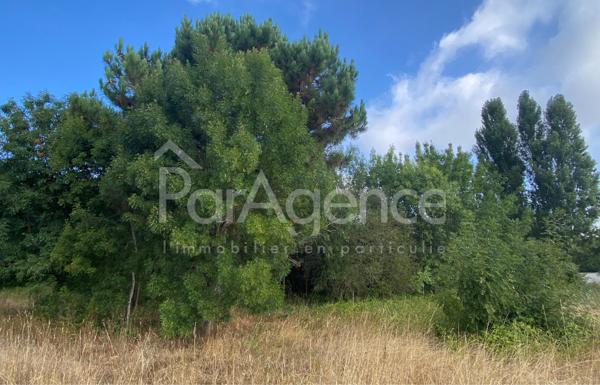 Terrain à bâtir Parcelle arborée et sans vis-à-vis