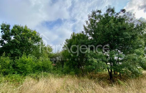 Terrain à bâtir Parcelle arborée et sans vis-à-vis