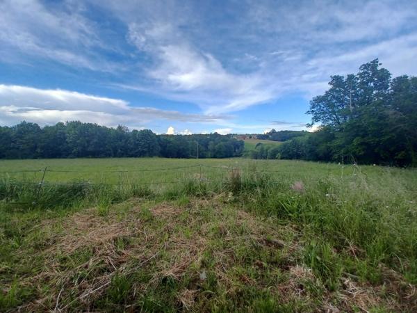 2 MAISONS CHARENTAISES - GRANGE - 2 HECTARES -