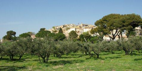 Maison à MIRAMAS (13140)