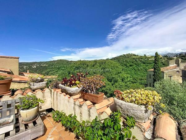 Vente                                                      Appartement
                        
                     1 pièces                      58 m2                     à Cateri