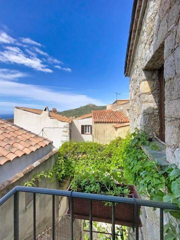Vente                                                      Appartement
                        
                     1 pièces                      58 m2                     à Cateri