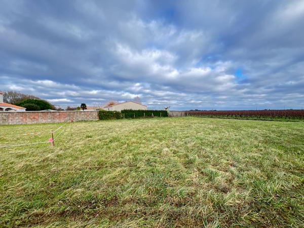 Terrain Arvert 618 m2 | LA TREMBLADE IMMO