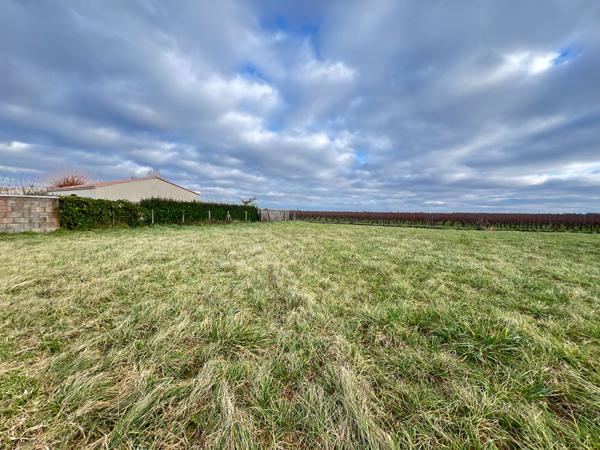 Terrain Arvert 618 m2 | LA TREMBLADE IMMO